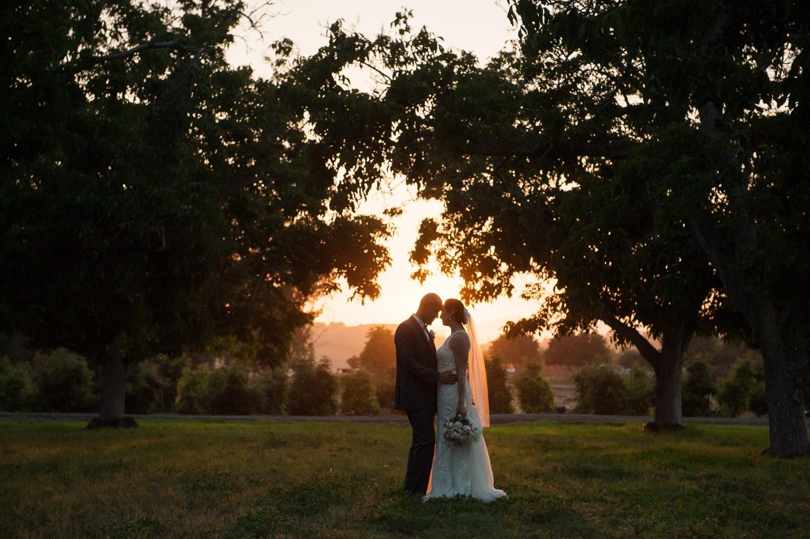 Saul & Britney Wedding Gallery
